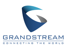 Logo Grandstream Partner